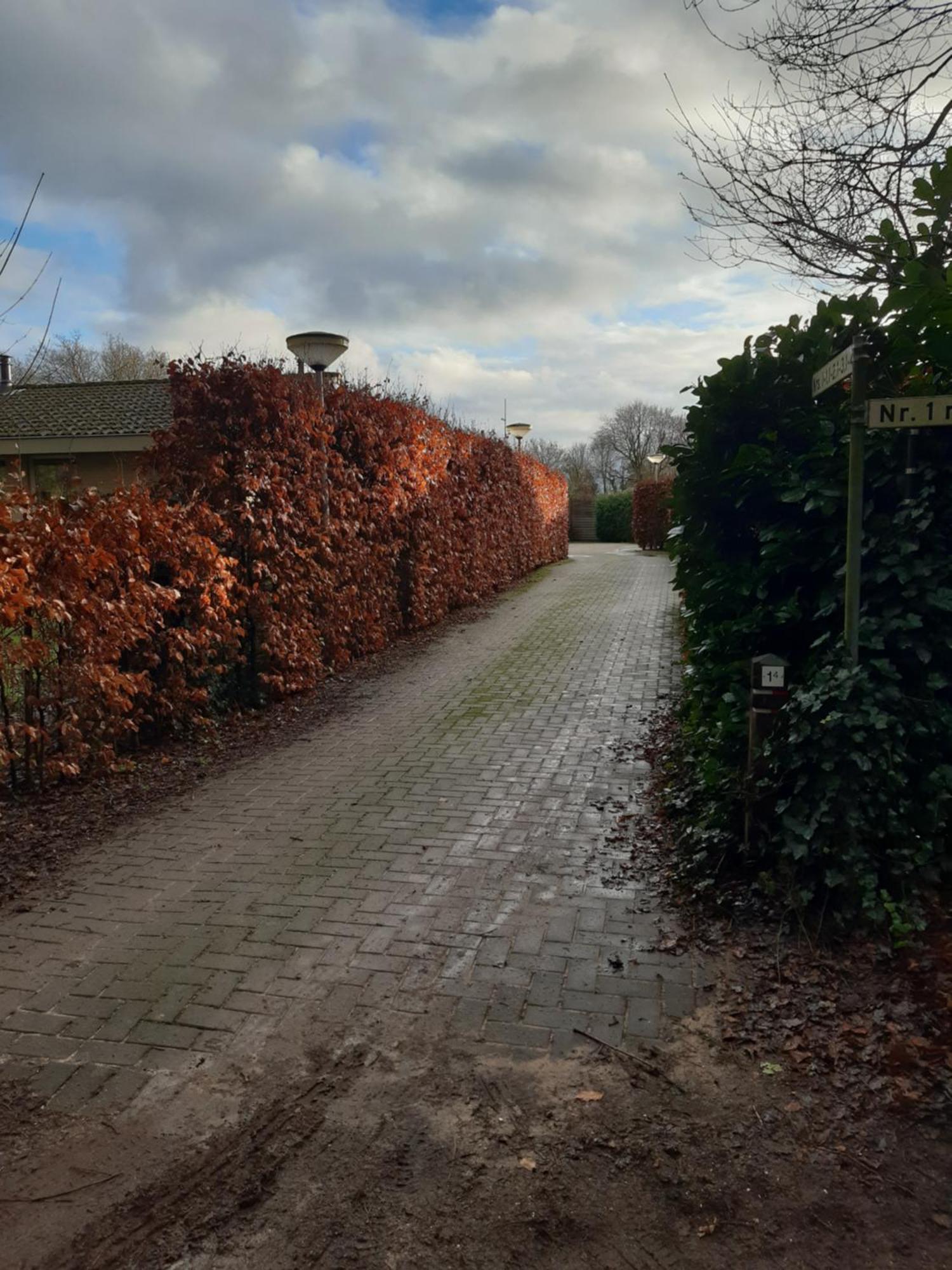 Huinerhofje 3 - Vrijstaand, Grote Tuin, Rust En Veel Privacy Nabij Uitgestrekte Bossen Villa Putten Kültér fotó